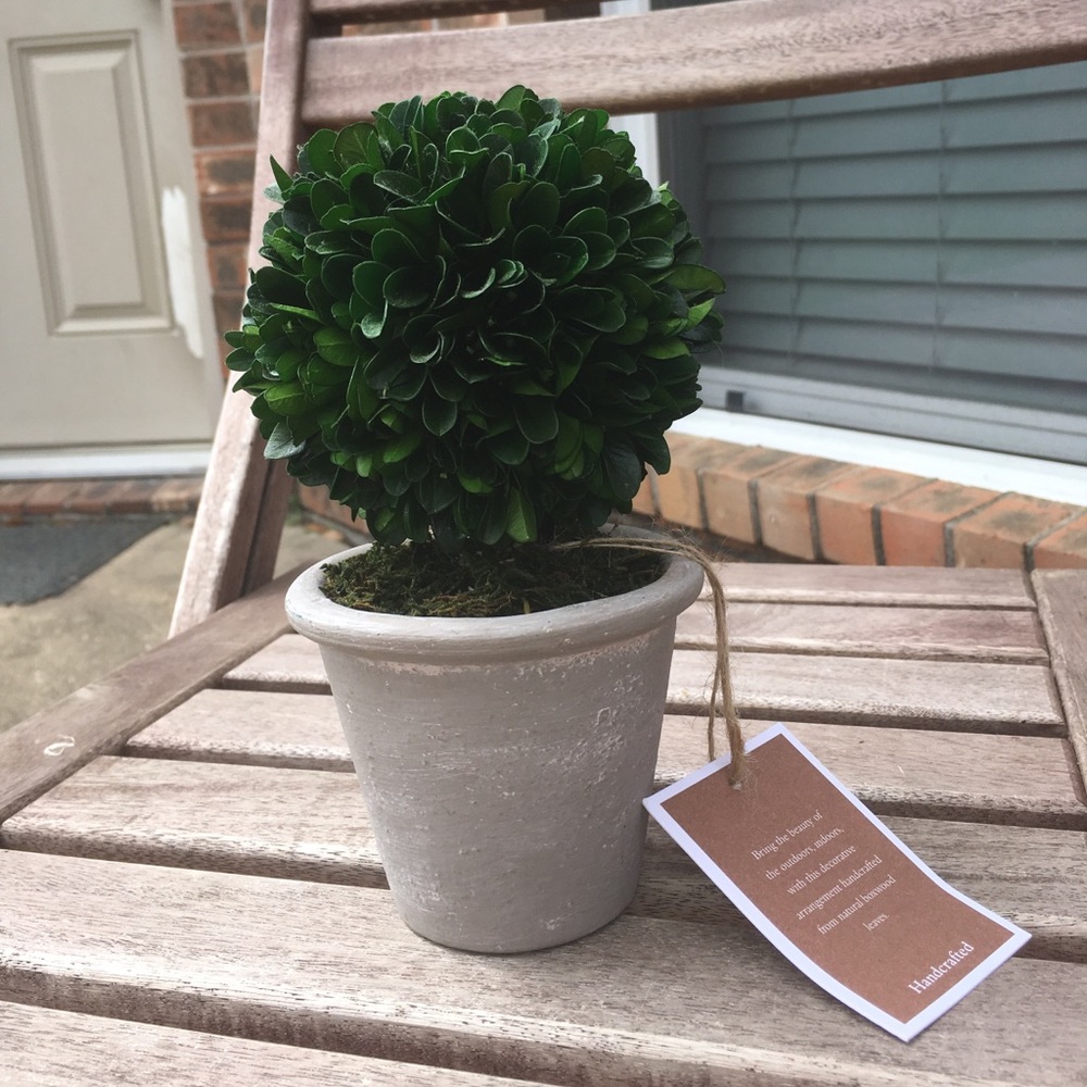 fake boxwood topiaryplant